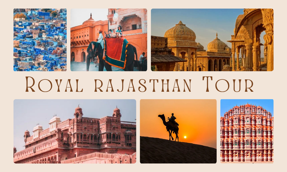 Explore Rishikesh & Mussoorie_20260210_014532_0007